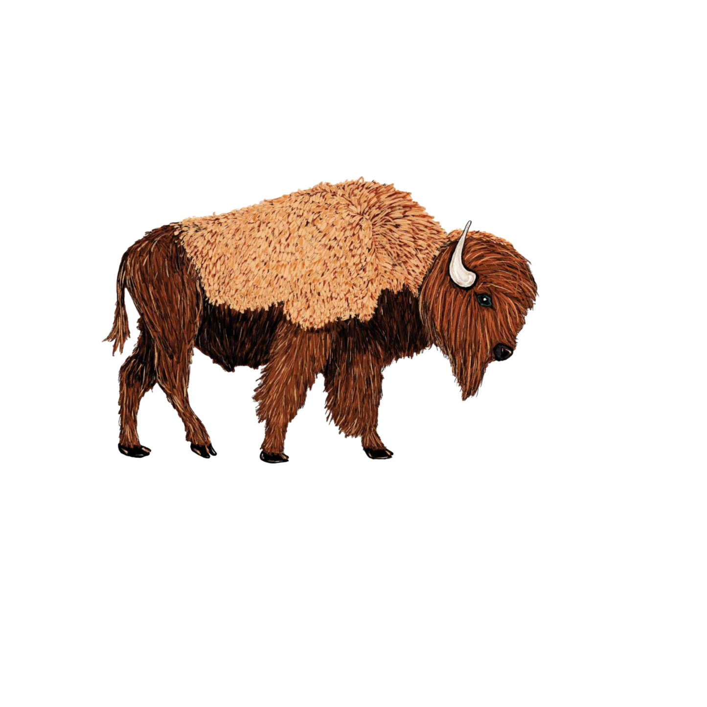 Our Bison Art Sticker! View a wide range of unique, high-quality, vinyl, die-cut, eco-friendly stickers.