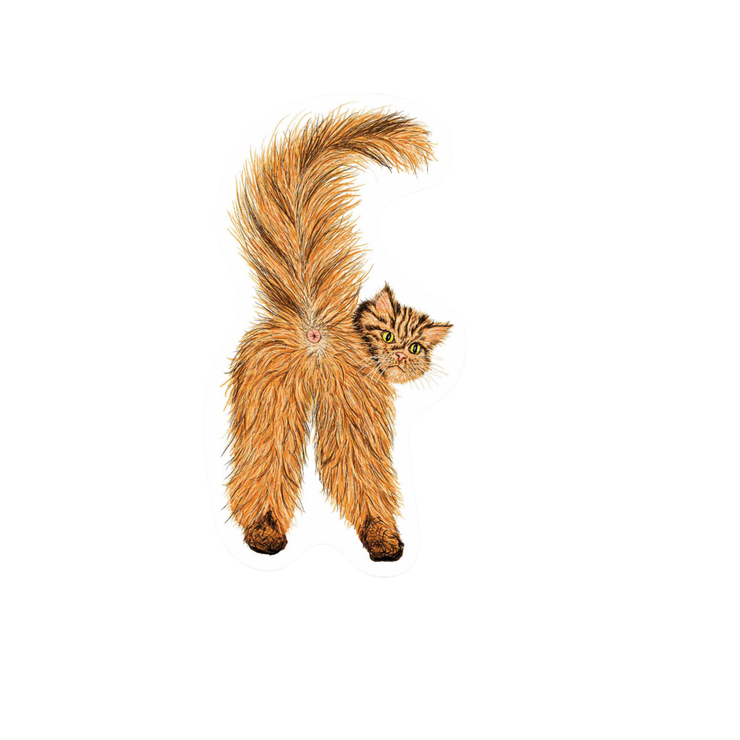Our Cat Butthole Sticker! unique, high-quality, vinyl, die-cut, eco-friendly stickers