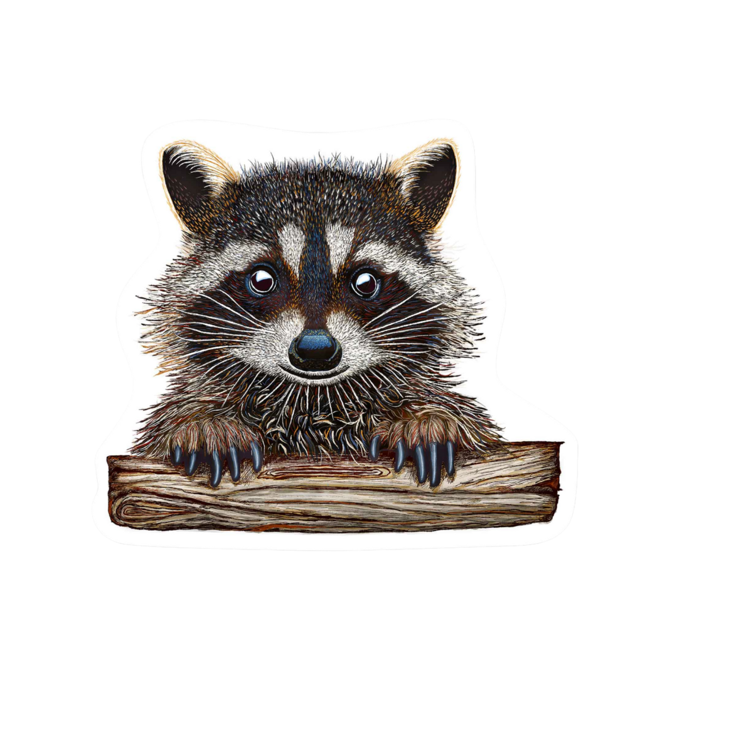Our Racoon Art Sticker! unique high-quality, vinyl, die-cut, eco-friendly stickers