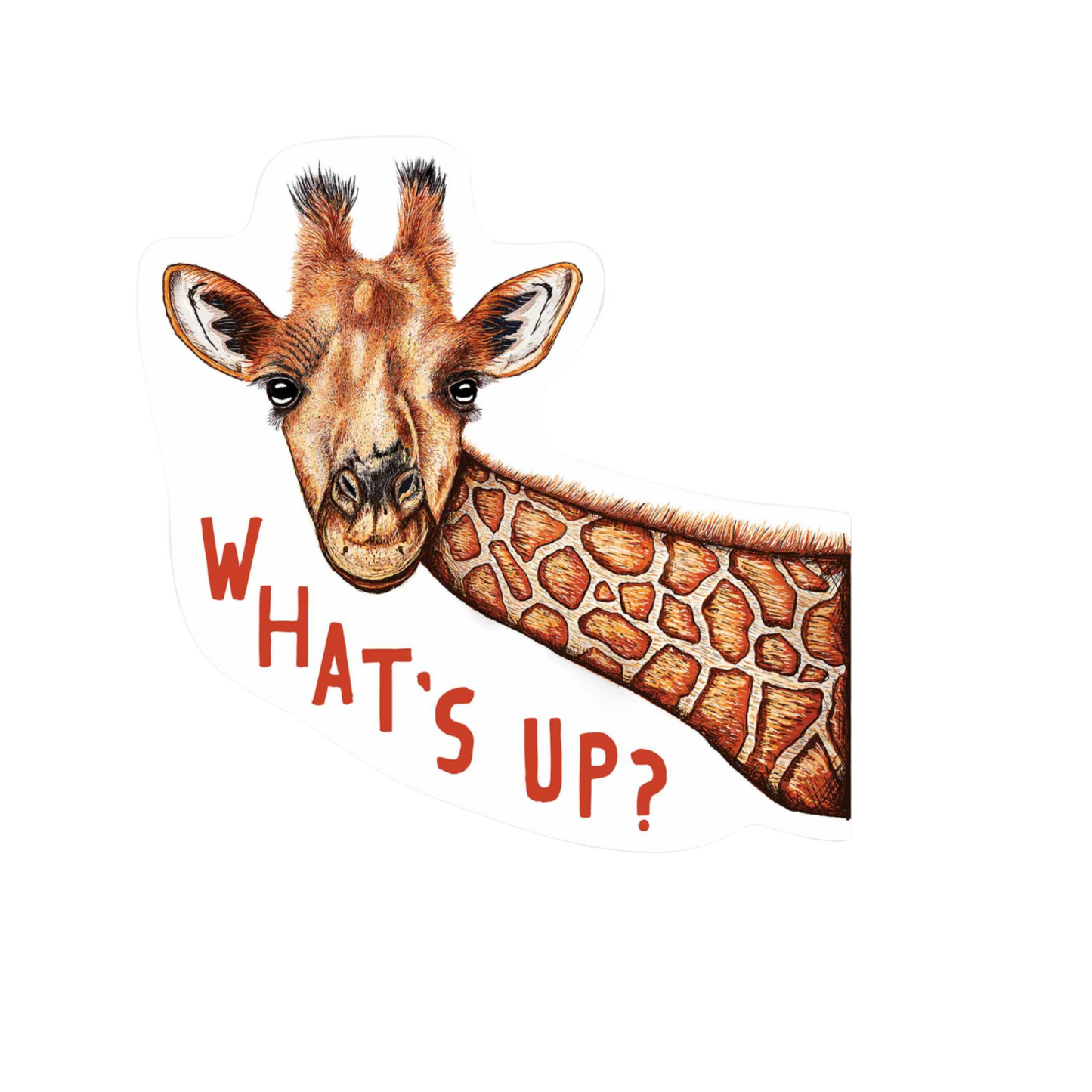 Our What's Up Giraffe Sticker! unique, high-quality, vinyl die-cut, eco-friendly stickers