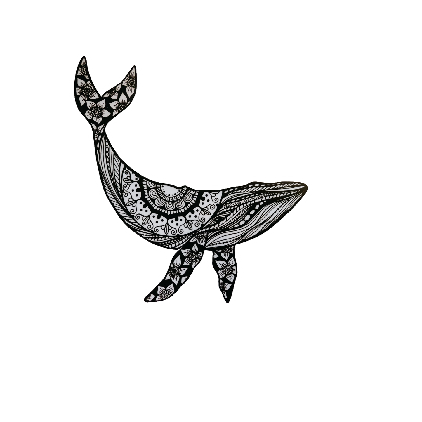 Durable vinyl, die-cut Wilderness Whale Sticker