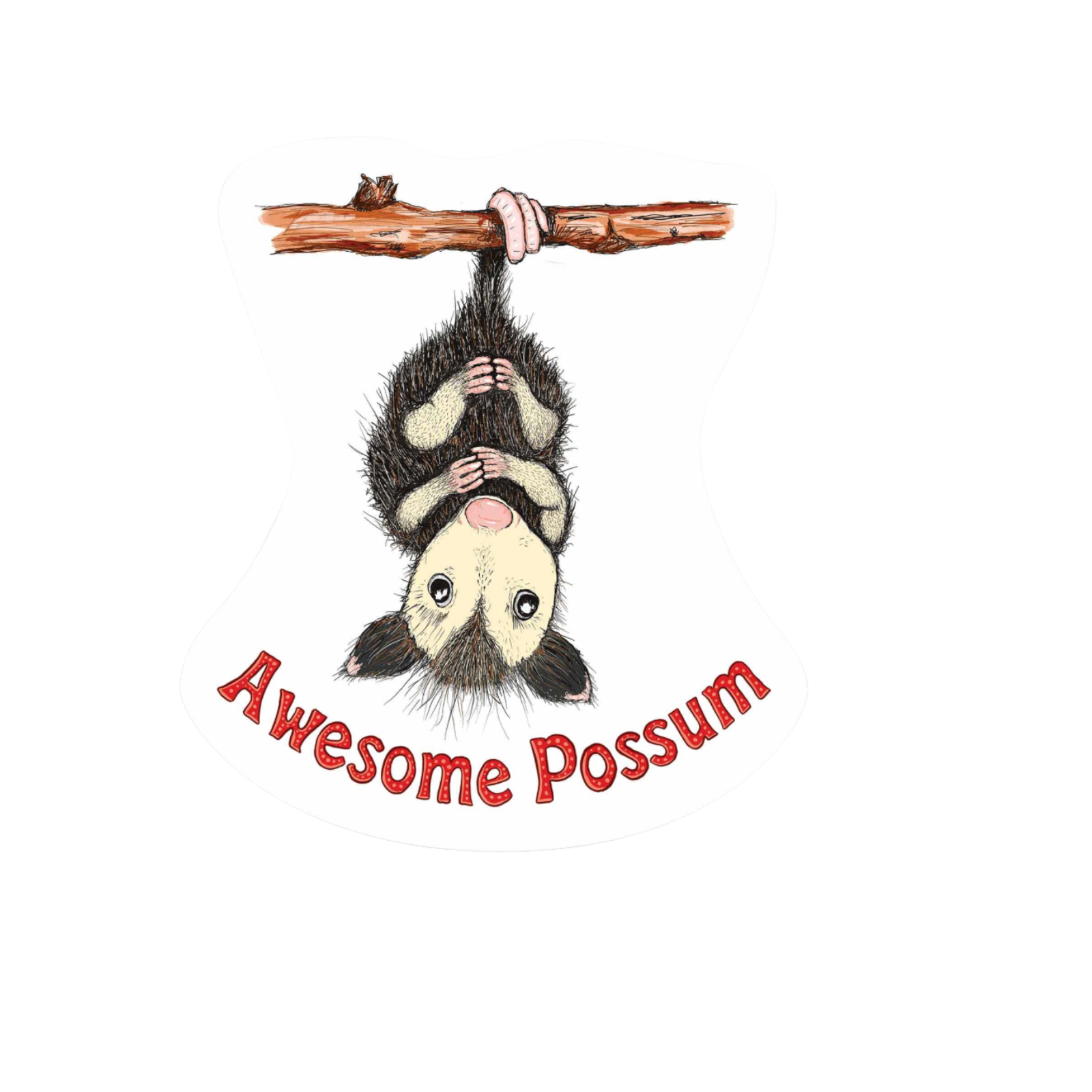 Durable vinyl, die-cut Awesome Possum Sticker