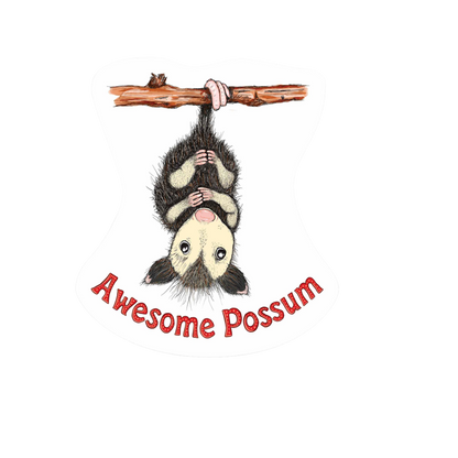 Durable vinyl, die-cut Awesome Possum Sticker