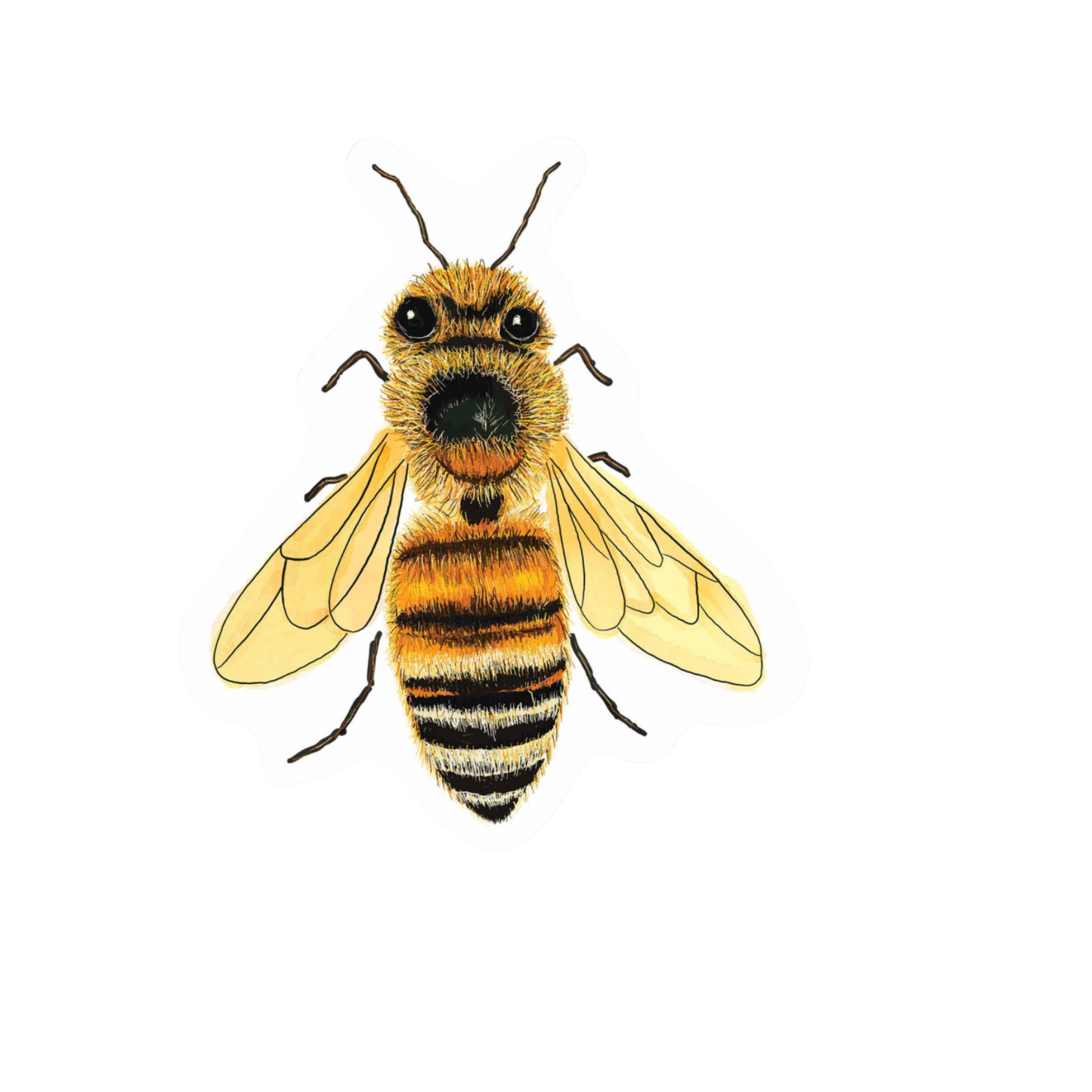 Our Bee Art Sticker! View a wide range of unique, high-quality, vinyl, die-cut, eco-friendly stickers. 