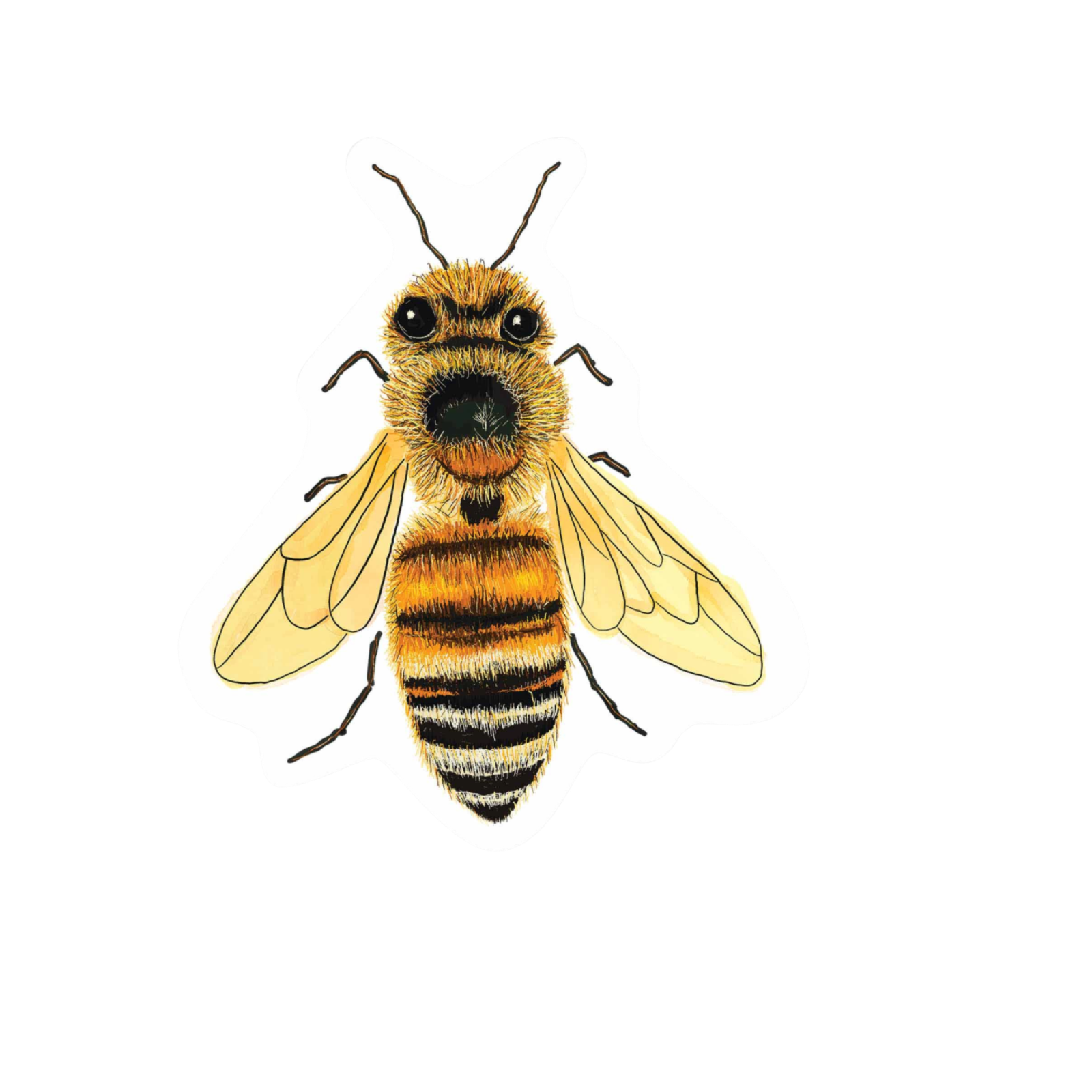 Our Bee Art Sticker! View a wide range of unique, high-quality, vinyl, die-cut, eco-friendly stickers. 