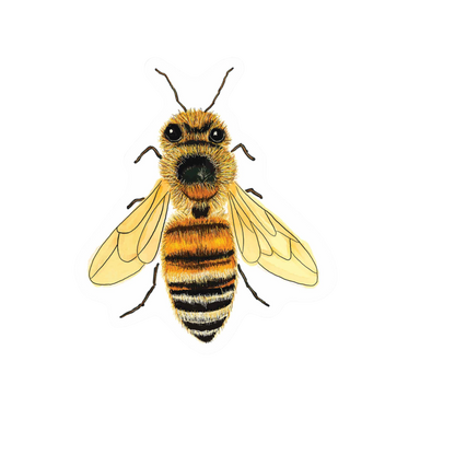 Our Bee Art Sticker! View a wide range of unique, high-quality, vinyl, die-cut, eco-friendly stickers. 