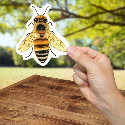Hand holding a bee sticker over a wooden table with a blurred natural background