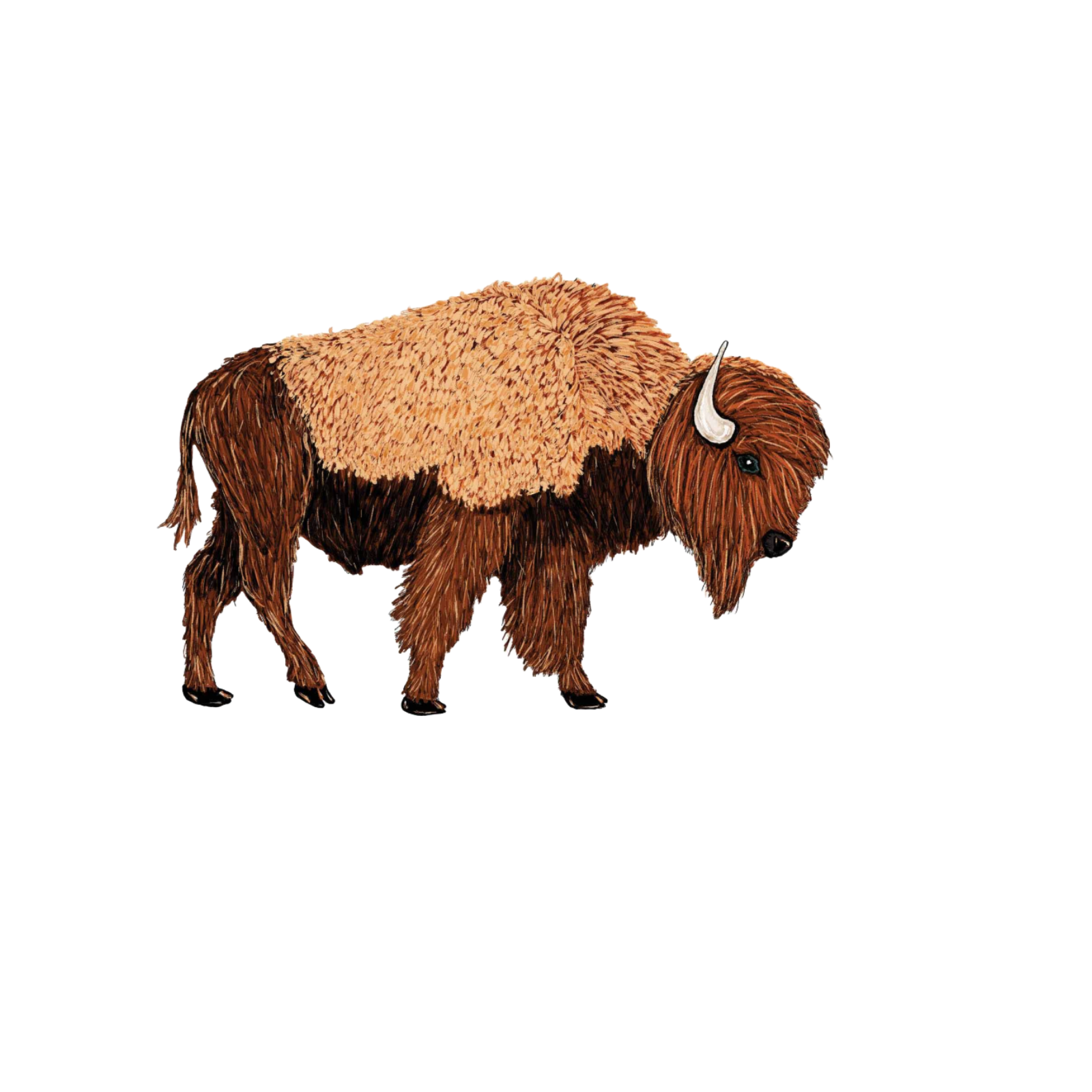 Our Bison Art Sticker! View a wide range of unique, high-quality, vinyl, die-cut, eco-friendly stickers. 