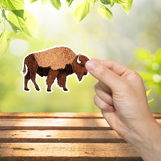 Hand holding a bison sticker with a natural background