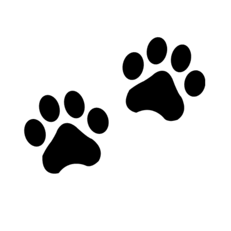Black Paws Sticker - Durable, Vinyl