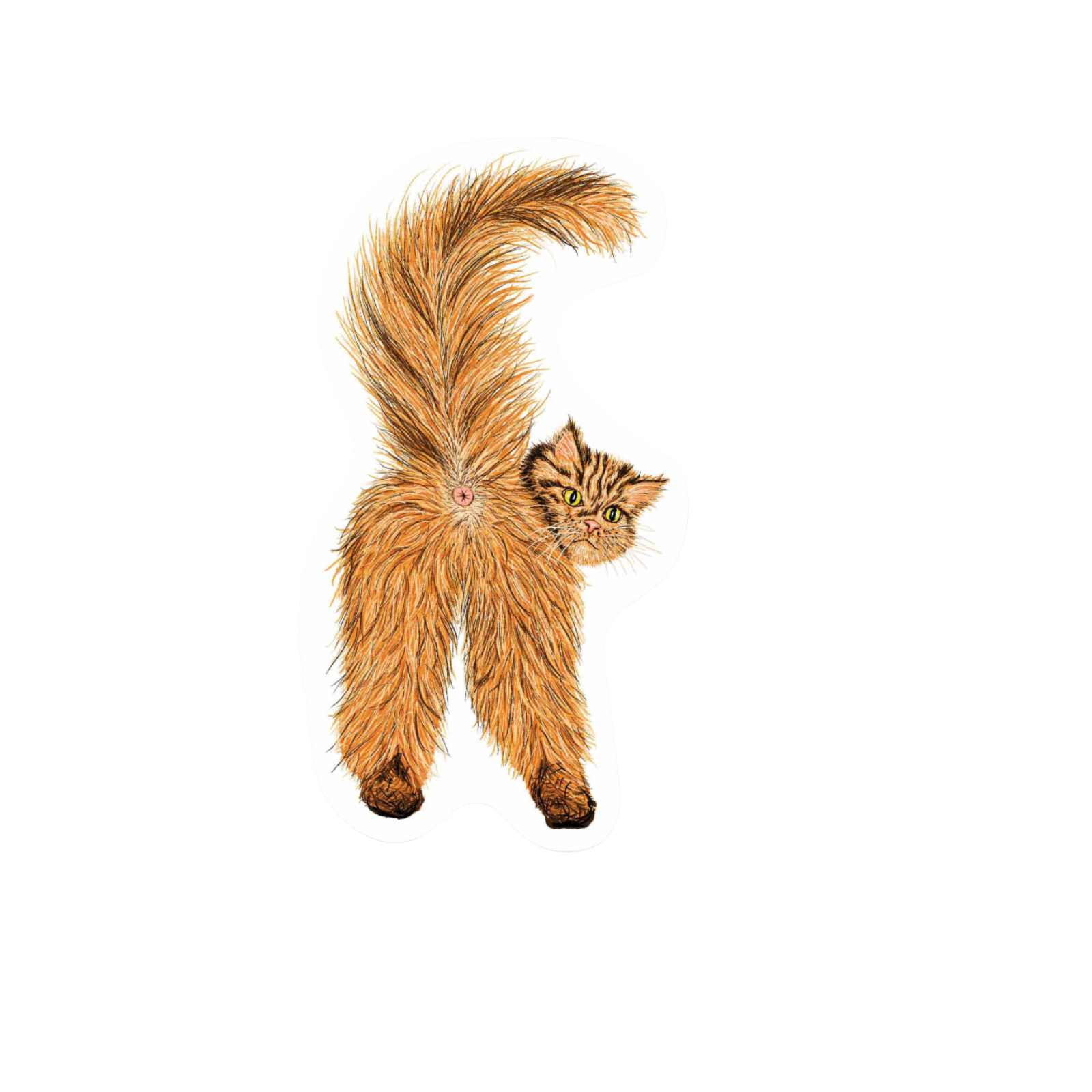 Our Cat Butthole Sticker! unique, high-quality, vinyl, die-cut, eco-friendly stickers