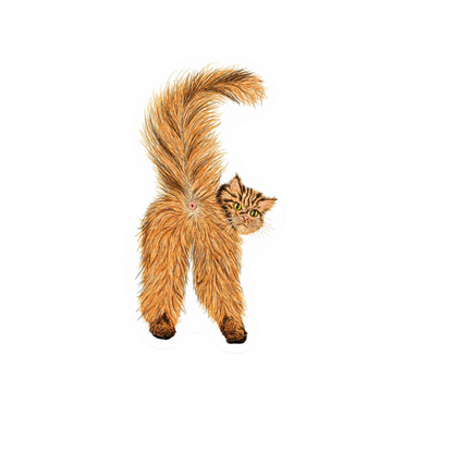 Our Cat Butthole Sticker! unique, high-quality, vinyl, die-cut, eco-friendly stickers