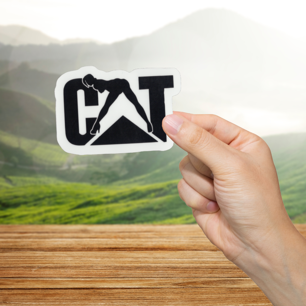 Hand holding a sticker with a CAT logo with the A being a woman against a scenic background
