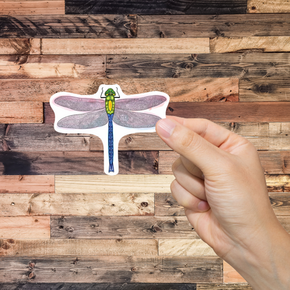 Hand holding a dragonfly-shaped sticker against a wooden background