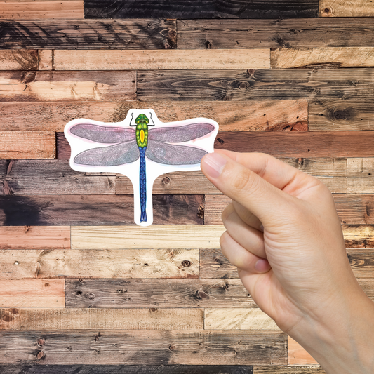 Hand holding a dragonfly-shaped sticker against a wooden background