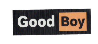 Durable vinyl, die-cut Good Boy Sticker