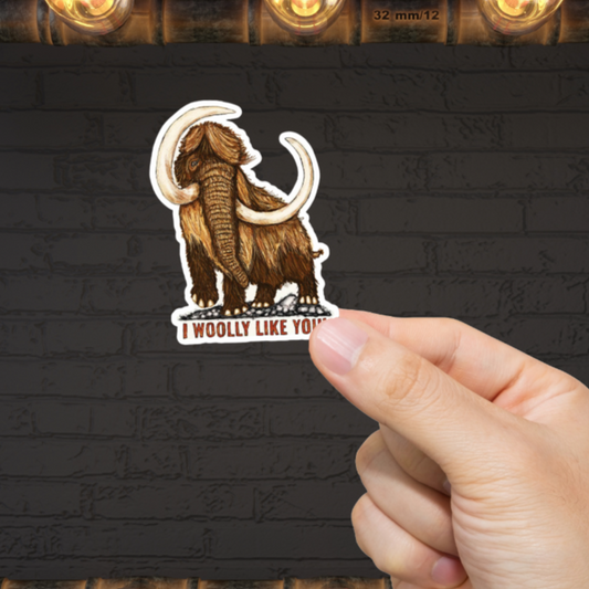 Durable, vinyl, die-cut, I Woolly Like You Sticker