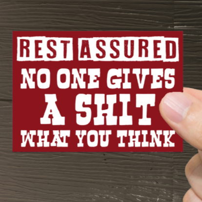 Durable, vinyl, die-cut, No One Gives A Shit Sticker.