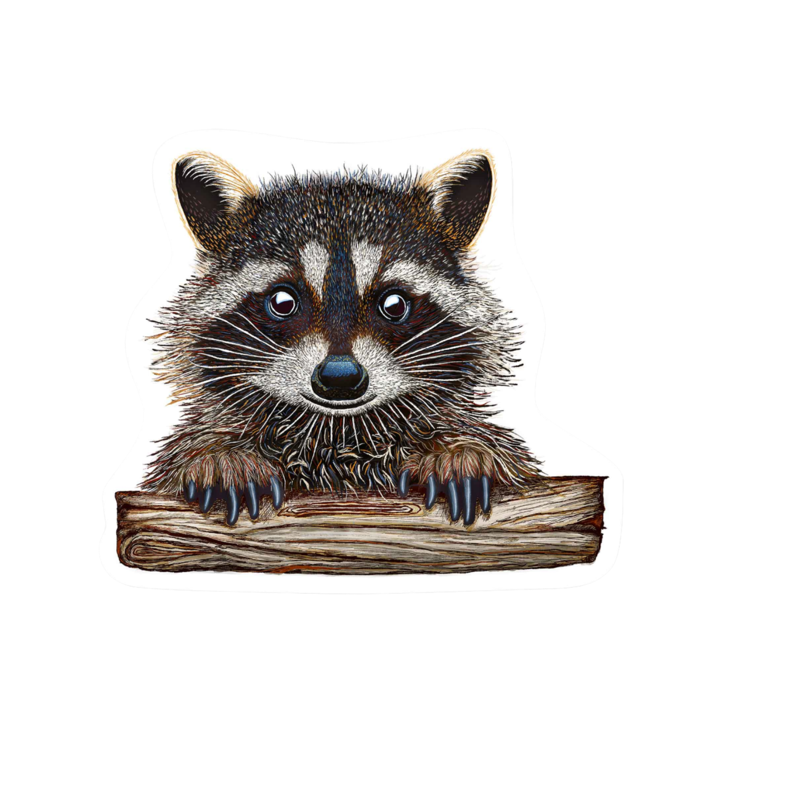 Our Racoon Art Sticker! unique high-quality, vinyl, die-cut, eco-friendly stickers