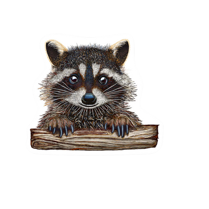 Our Racoon Art Sticker! unique high-quality, vinyl, die-cut, eco-friendly stickers