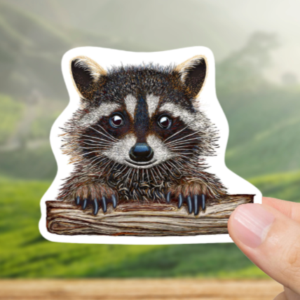 Durable, vinyl, die-cut, Racoon Artwork Sticker.