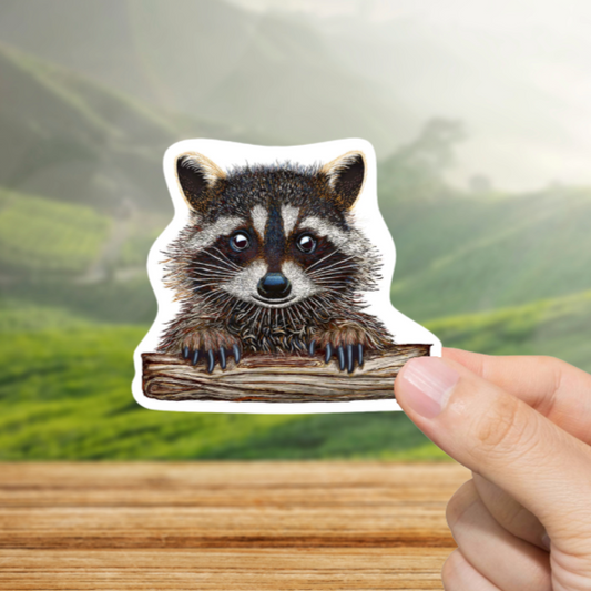 Durable, vinyl, die-cut, Racoon Artwork Sticker.