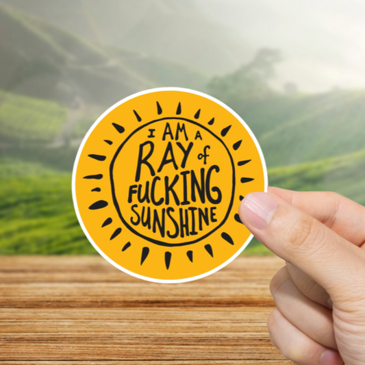Durable, vinyl, die-cut, Ray of Fcking Sunshine Sticker.