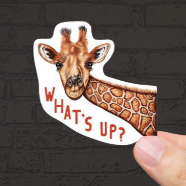 Durable, vinyl, What's Up Giraffe Sticker.